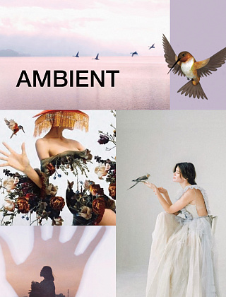 О коллекции AMBIENT